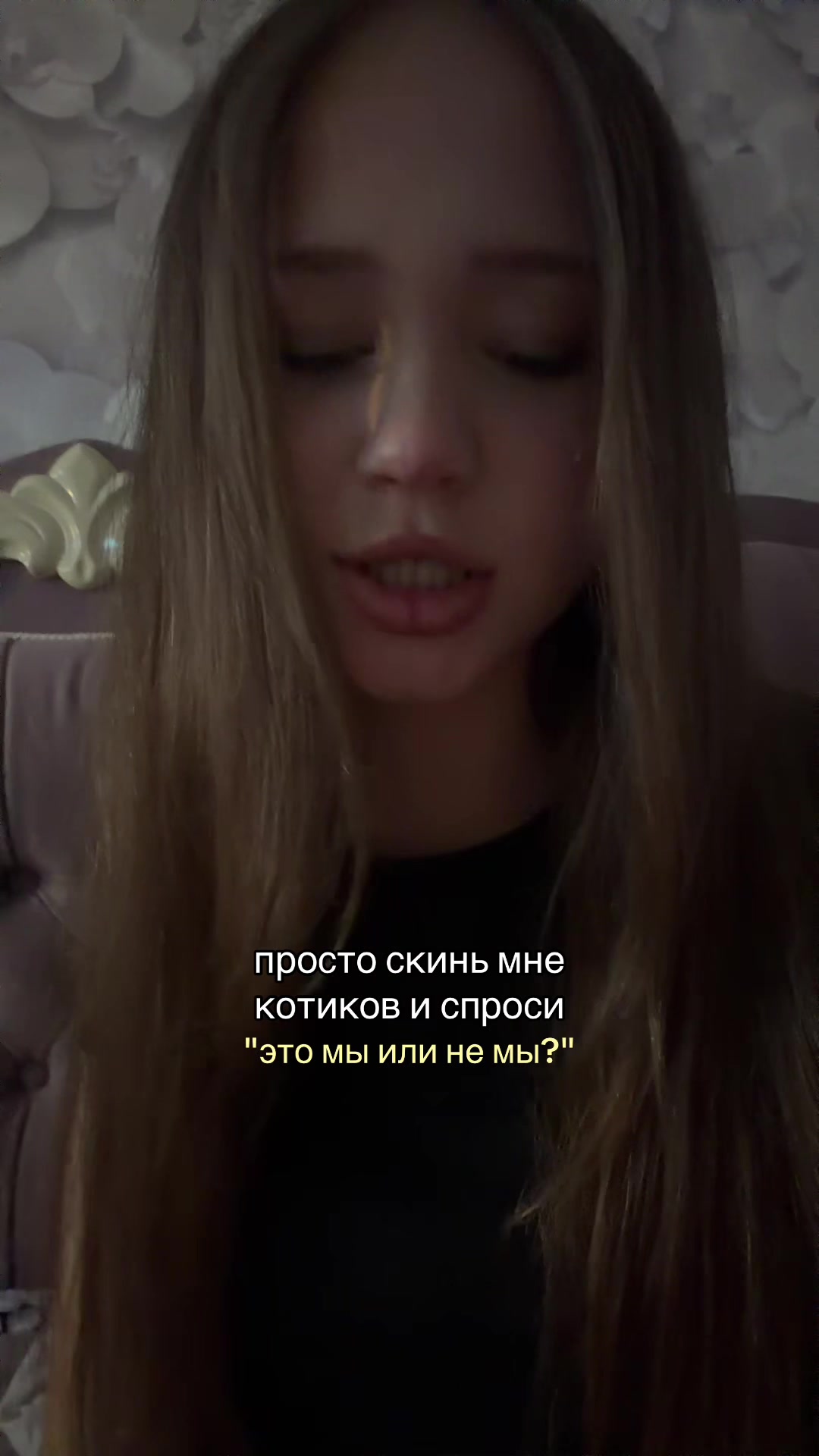 @dashhlt