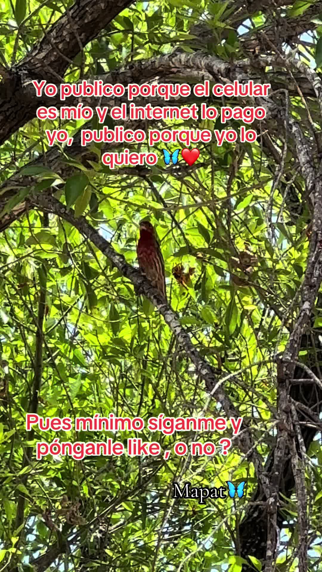 @Martha P. Betancourt Hernández
