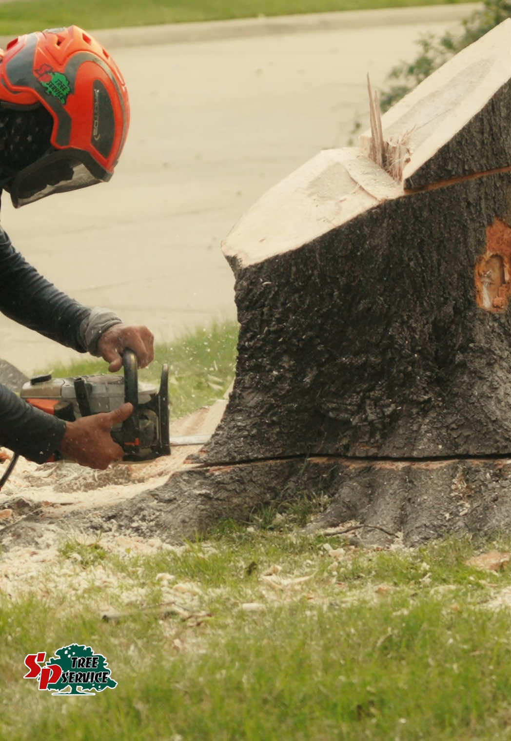 @SPTreeService