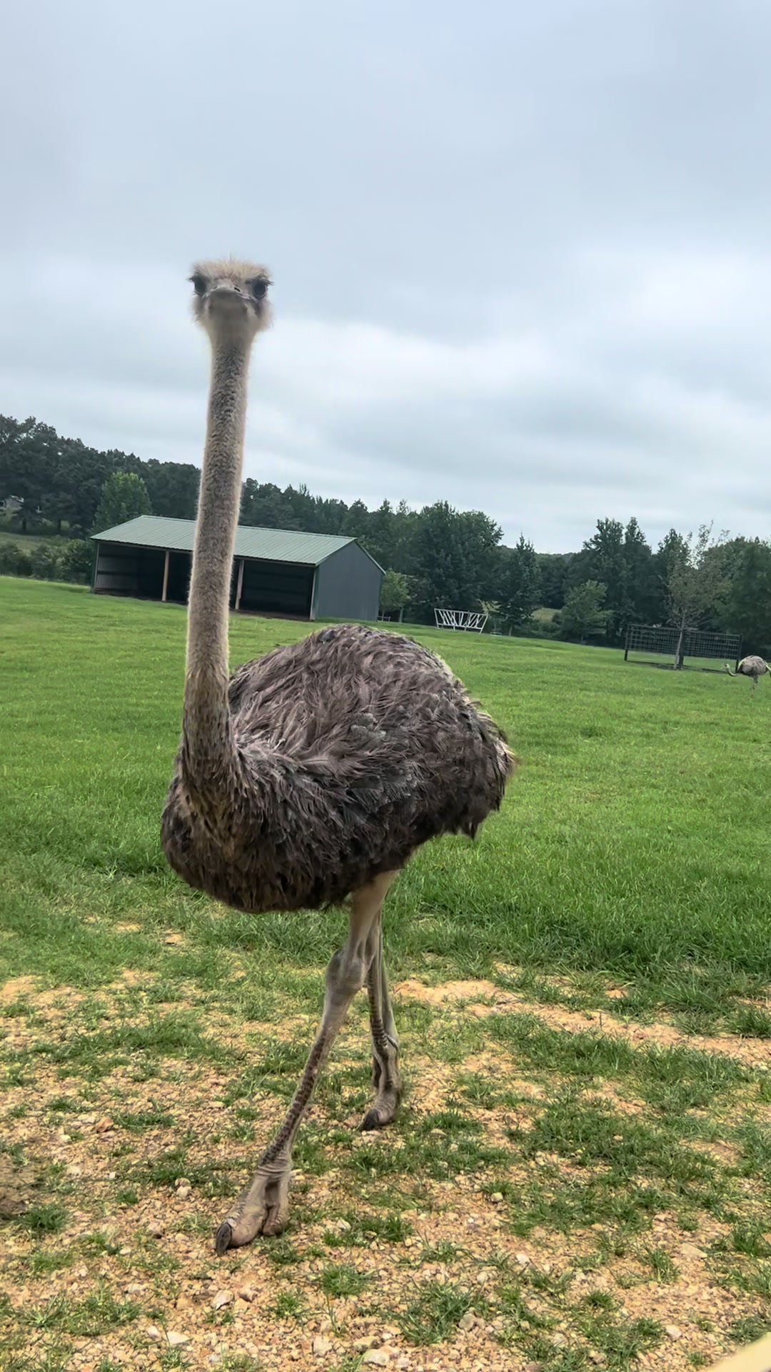 @southlandsafari
