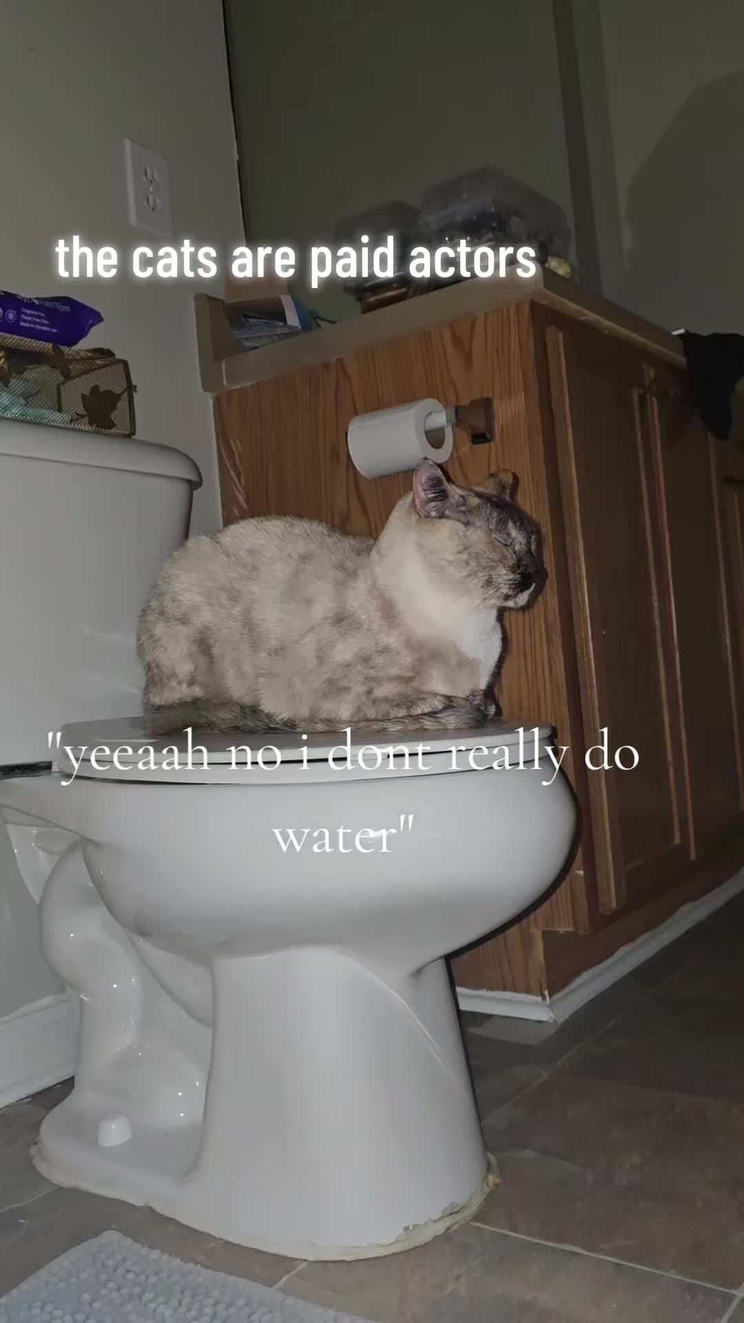 @dragom5