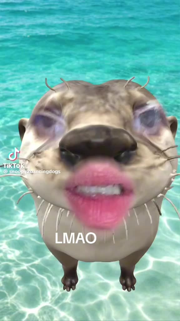 @Ron