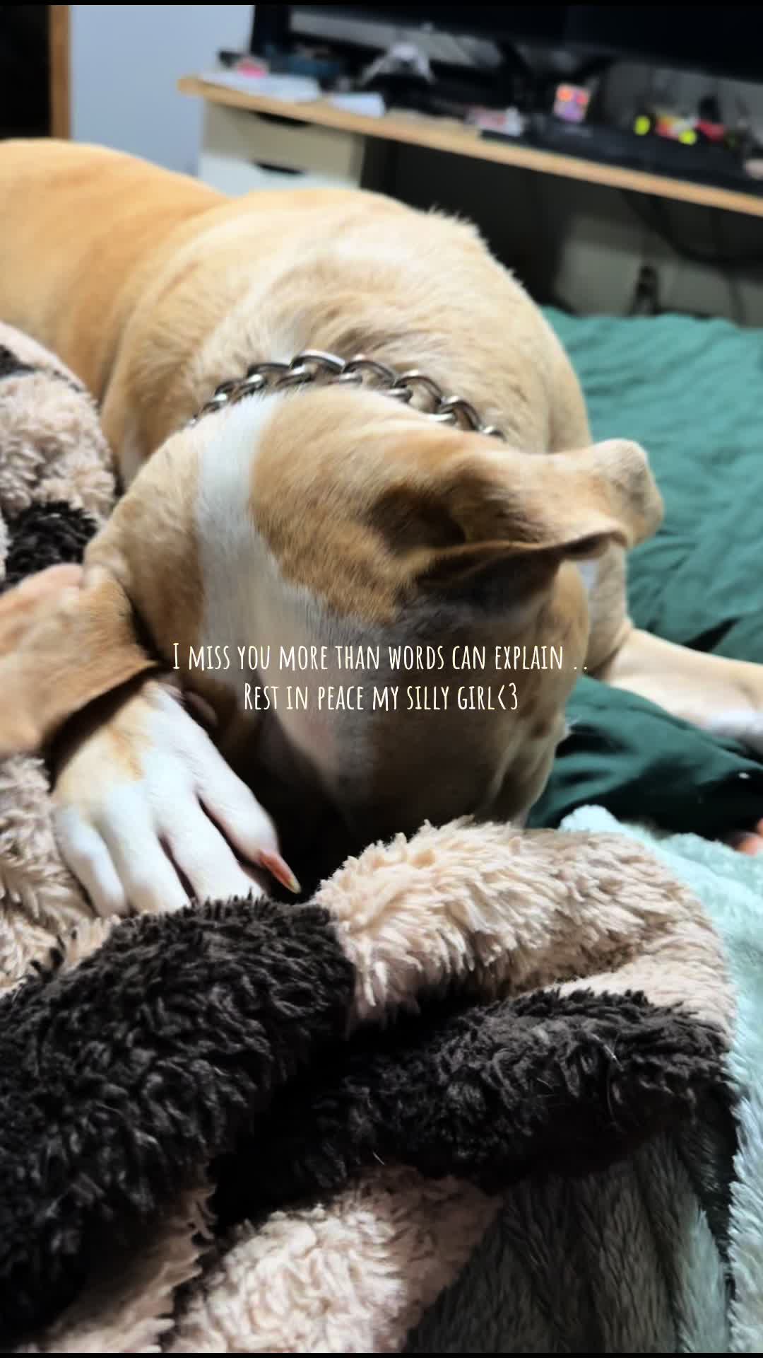 @ryleebylerr_