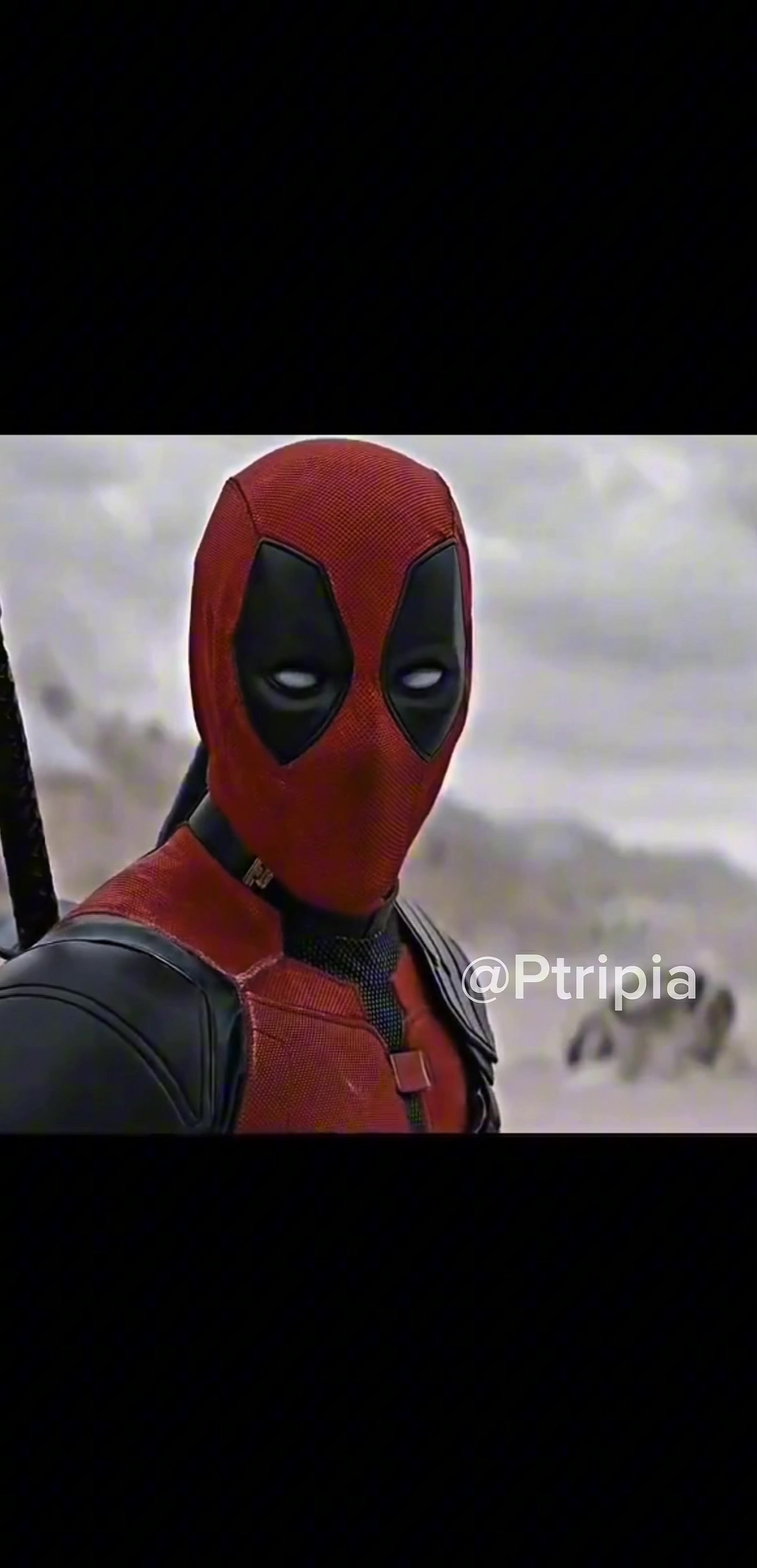 @ptripia