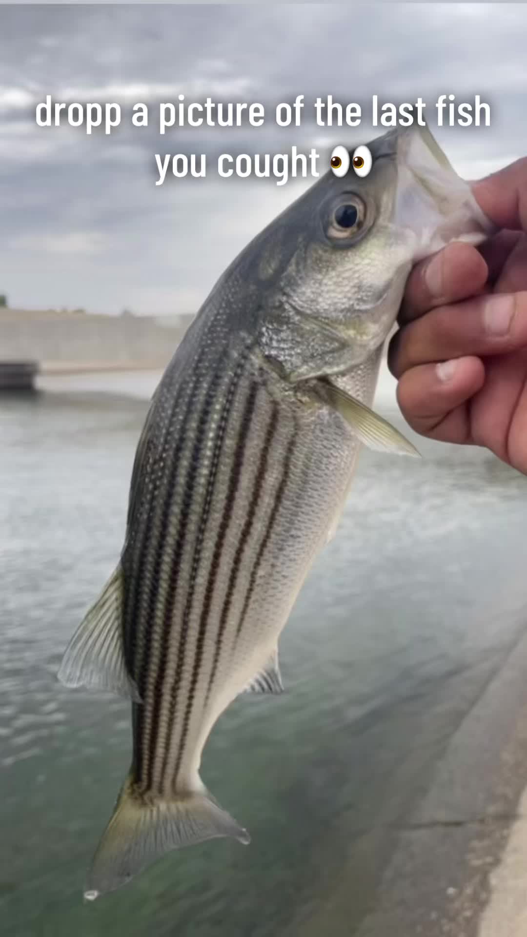 @Cast2Catch_661