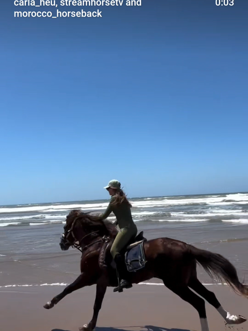 @streamhorse