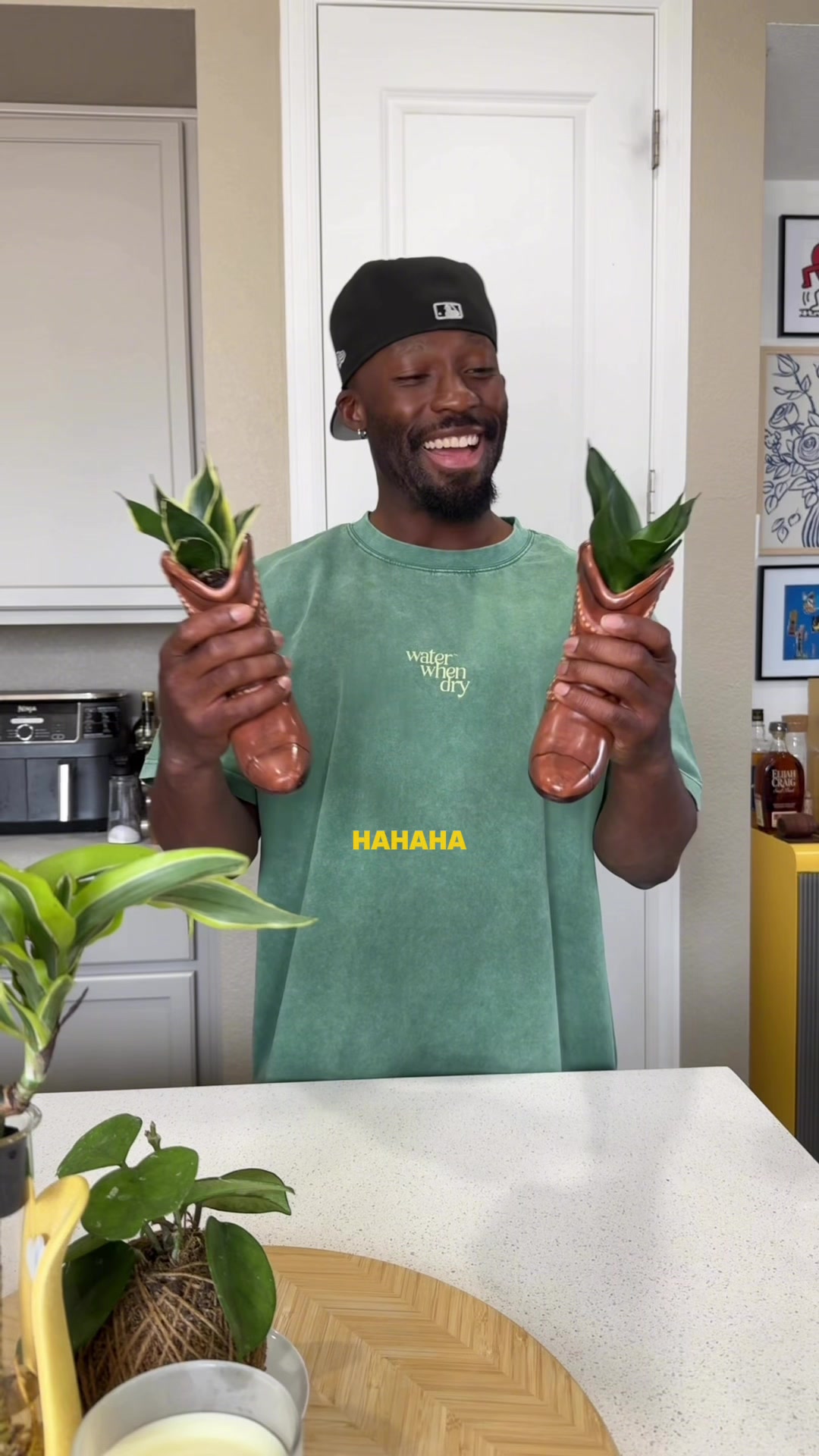 @PLANT DADDY KOSS