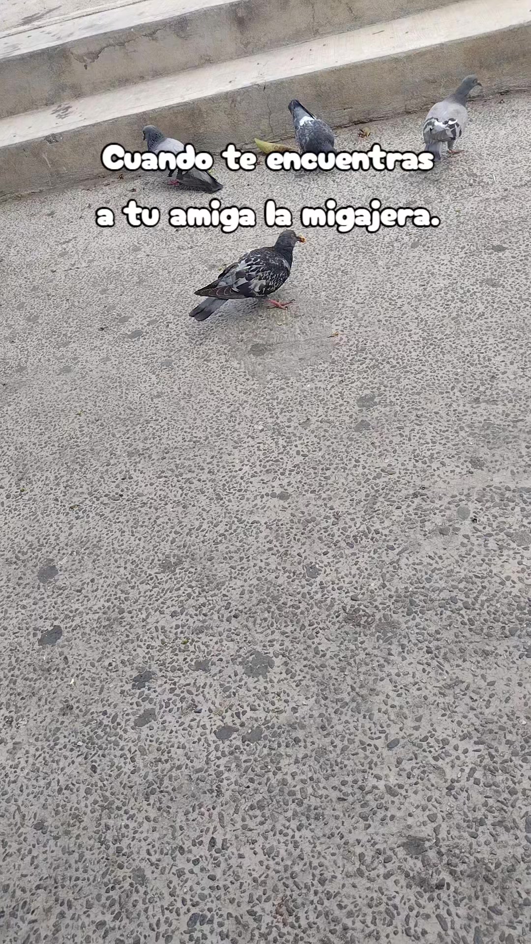 @ASM42