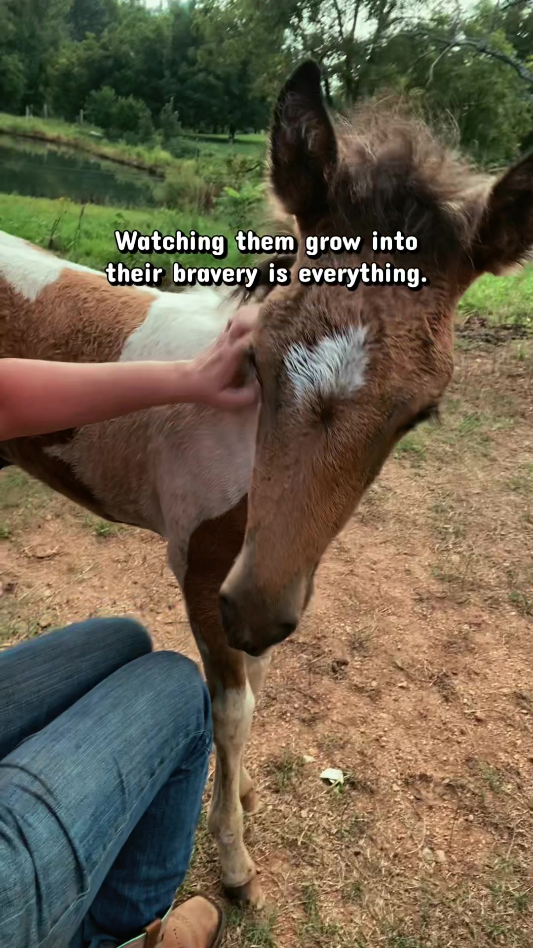 @SlowlaneFarm