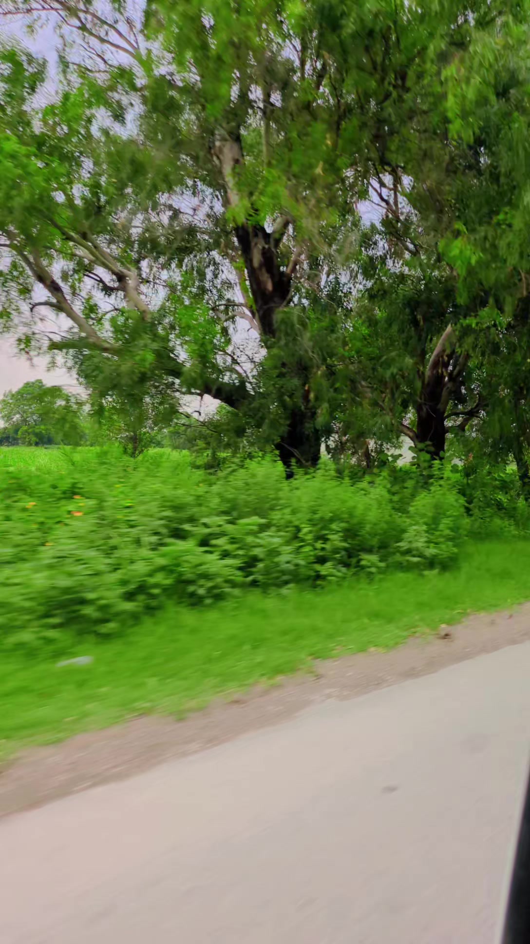 @Deepak 🥰🥰