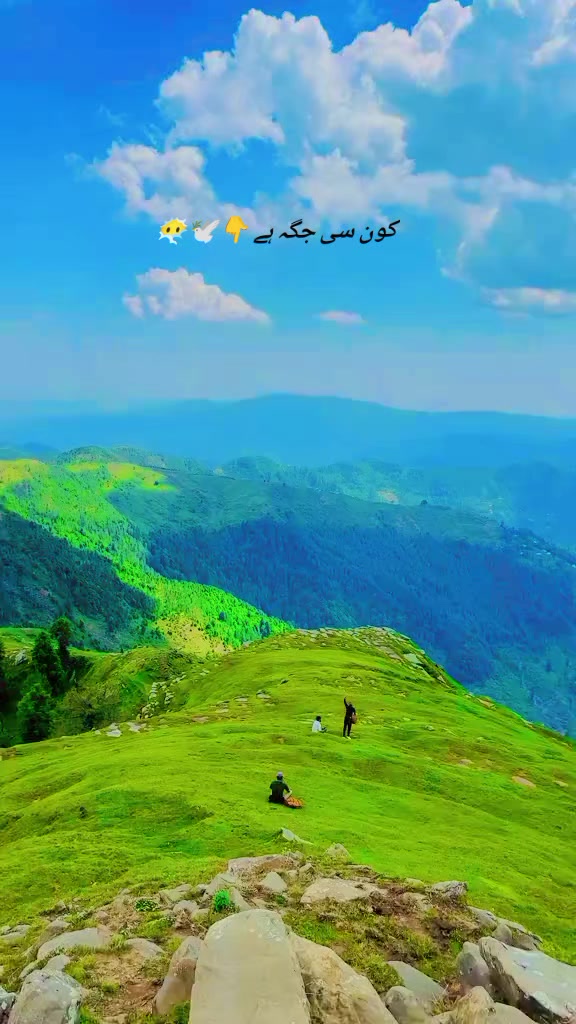 @کشمیر کے وارث
