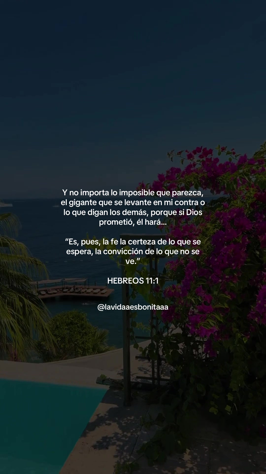 @vidabonita❤️🩹
