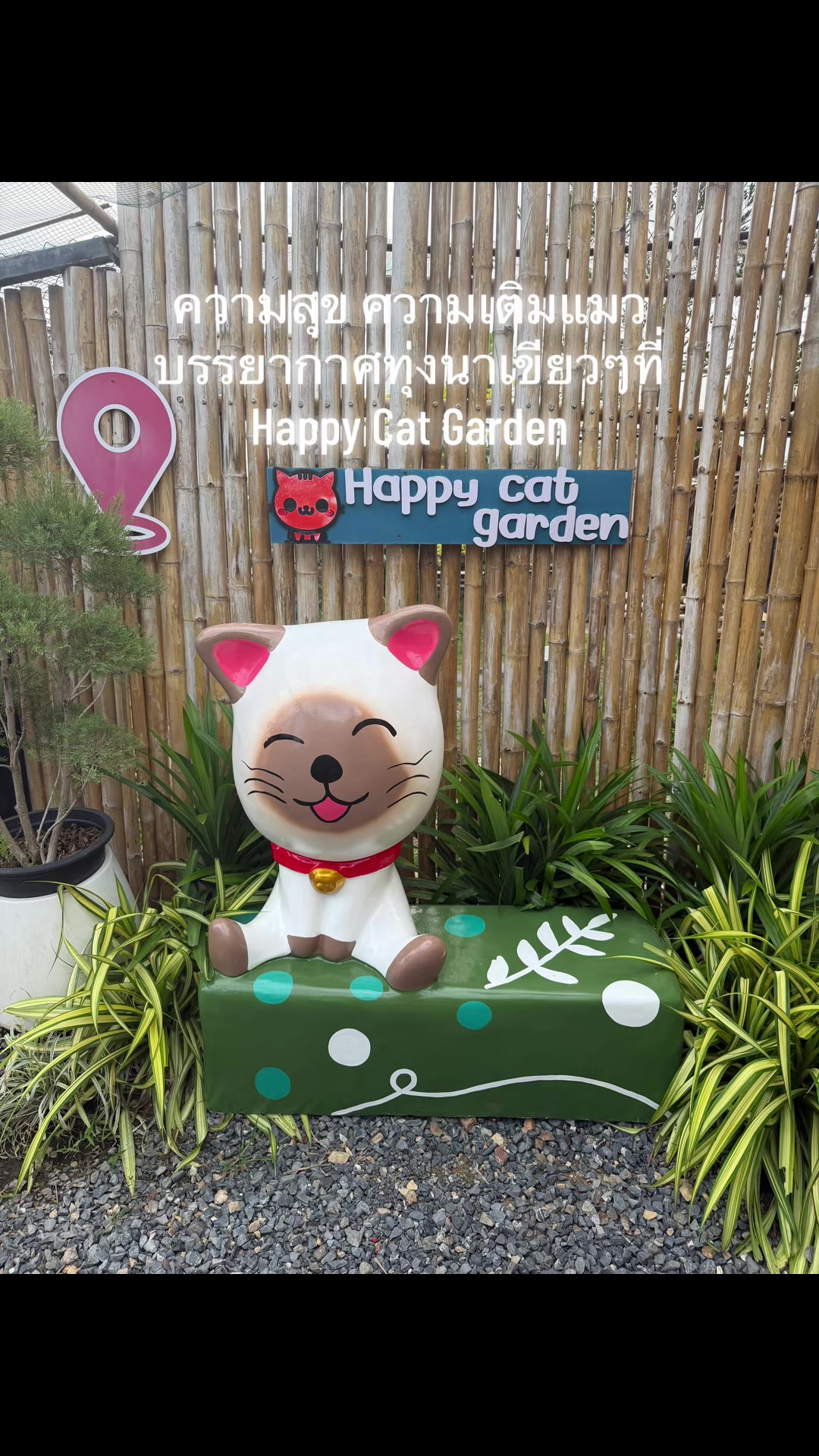 @happycatgarden.thailand