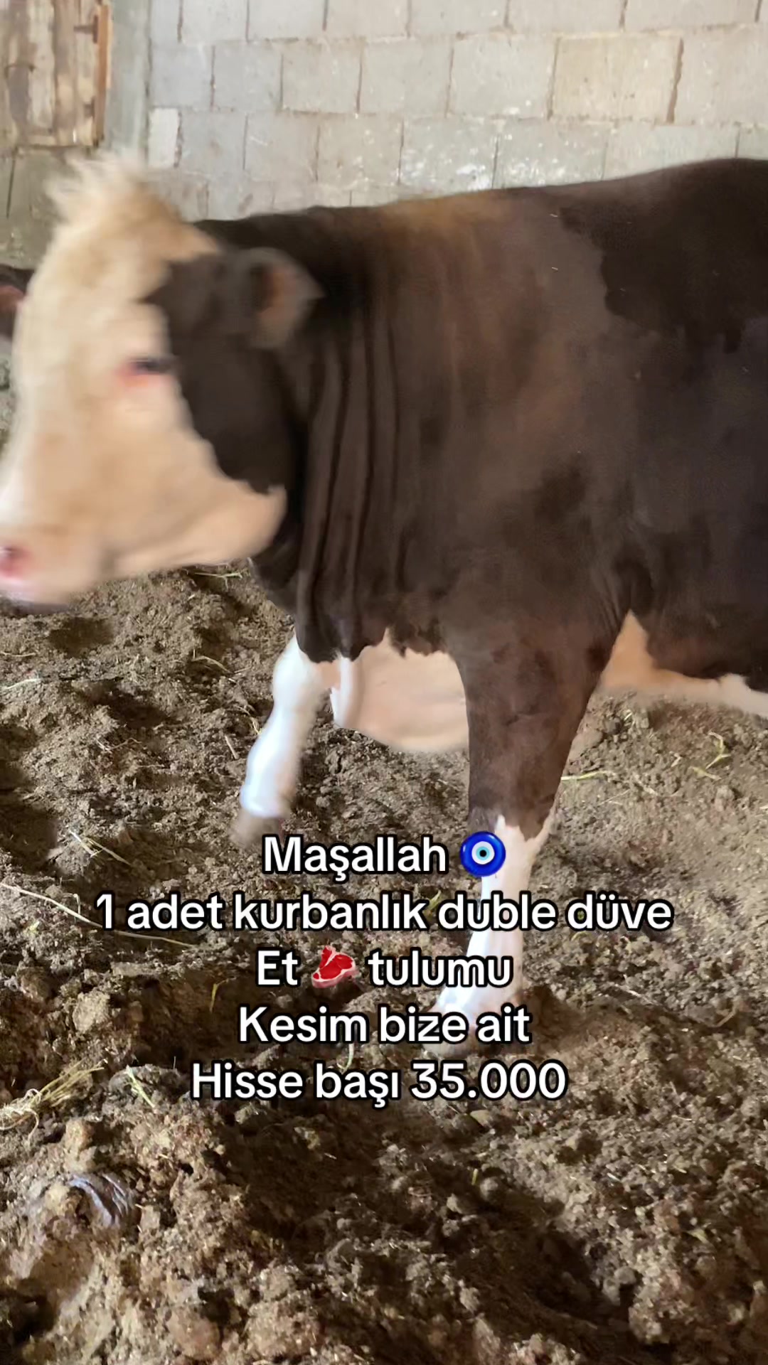 @Güven897