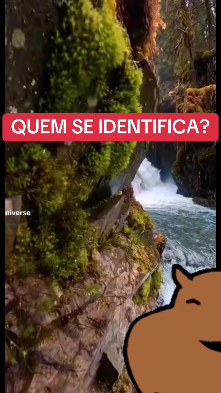 @ANDINHO