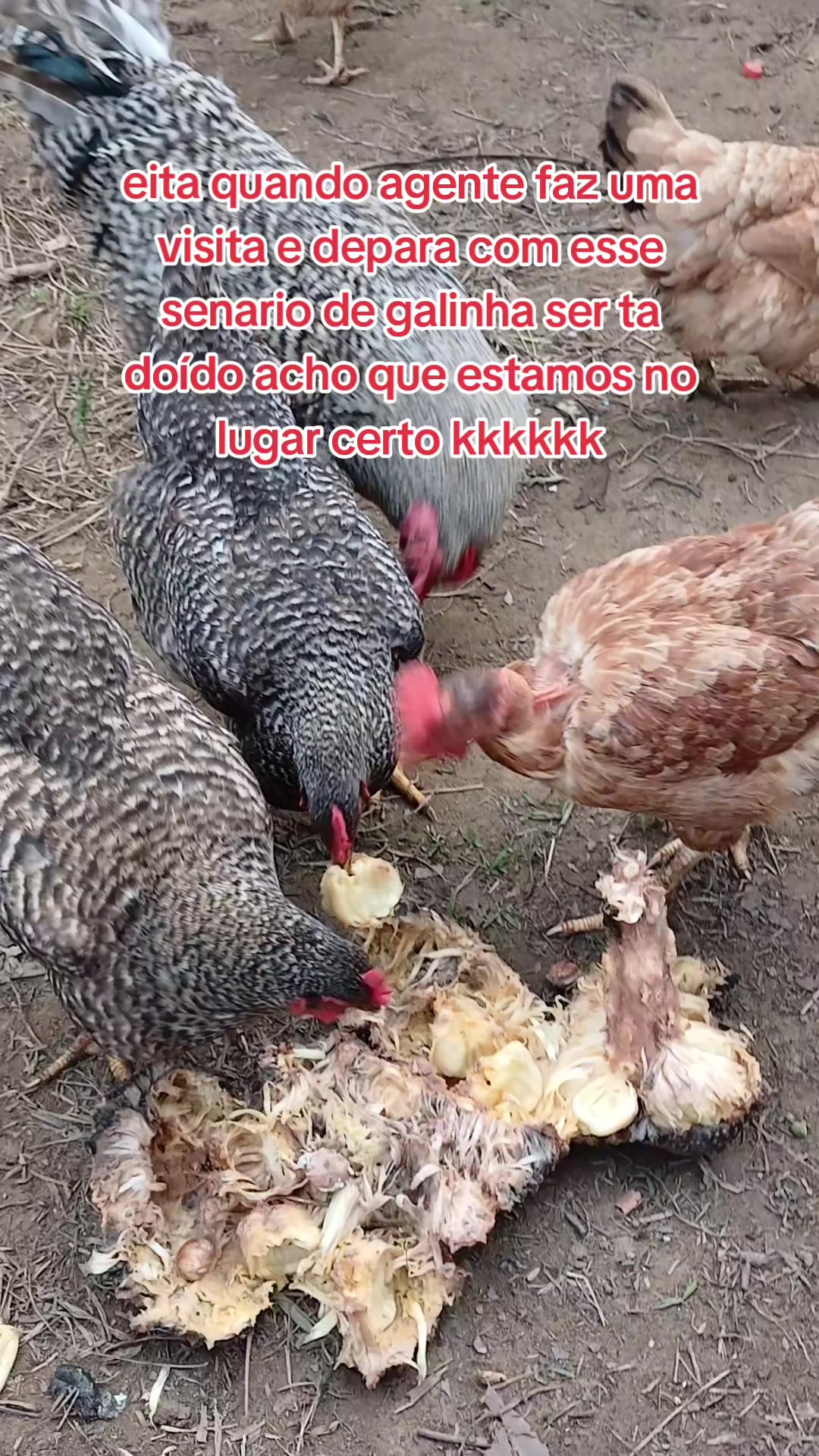 @ELIZEU  Batista