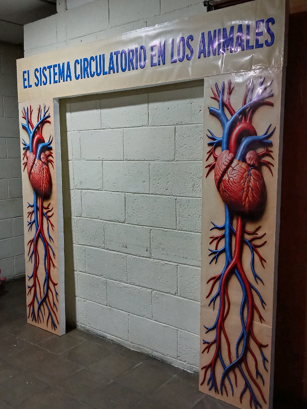 @IDcreaciones.sv