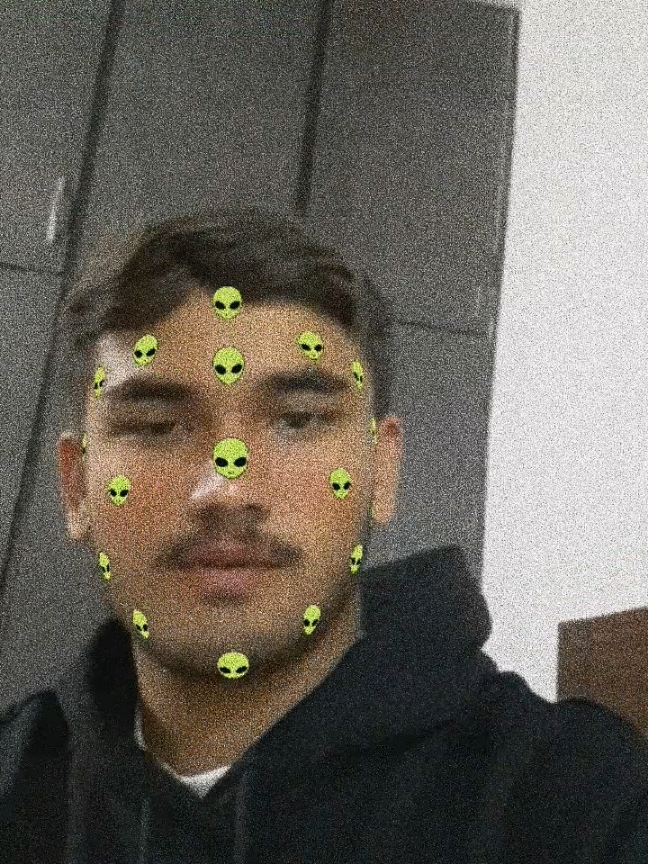 @🐼