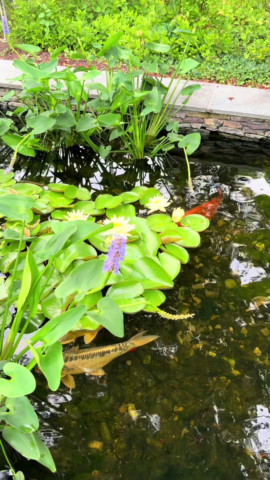 @Bubbles
