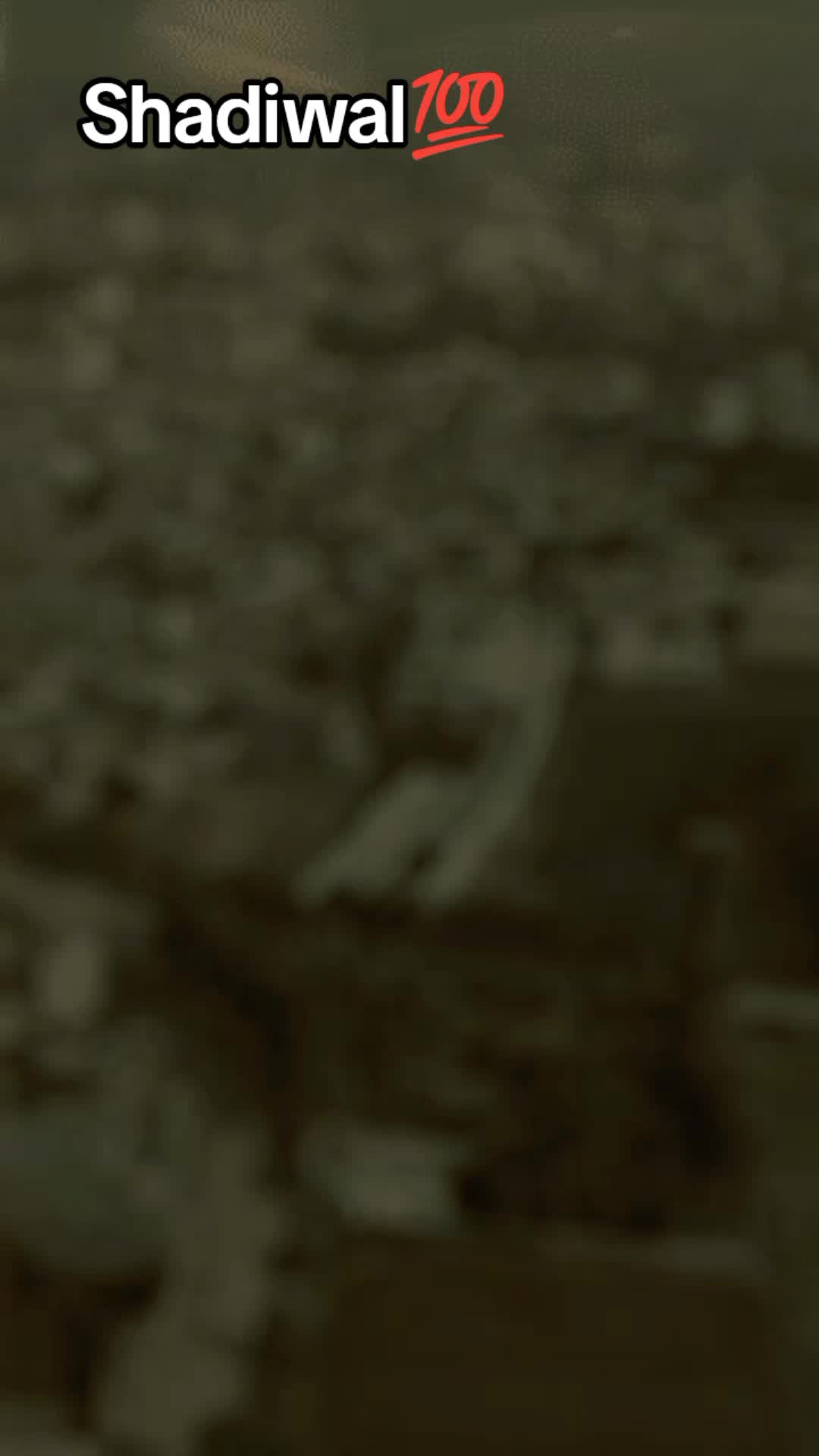 @غلام عبّاس سوما
