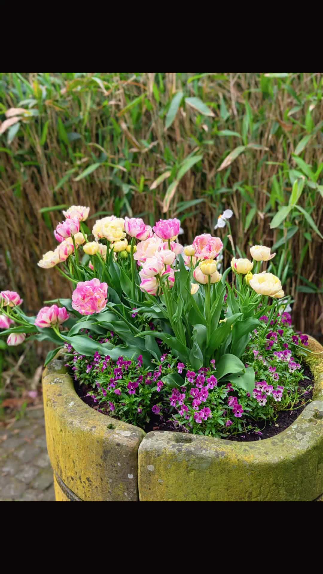 @Gartenbau Schiller