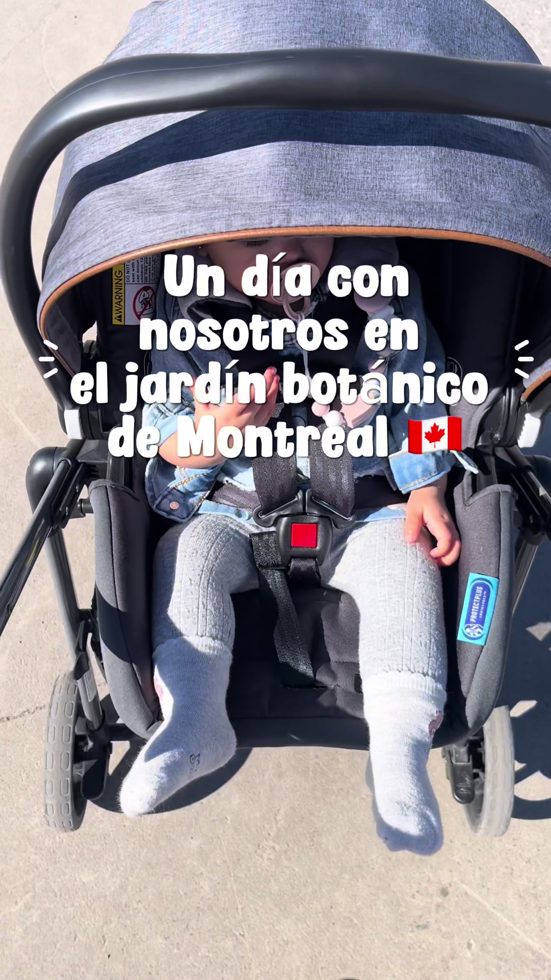 @mamaen_canada
