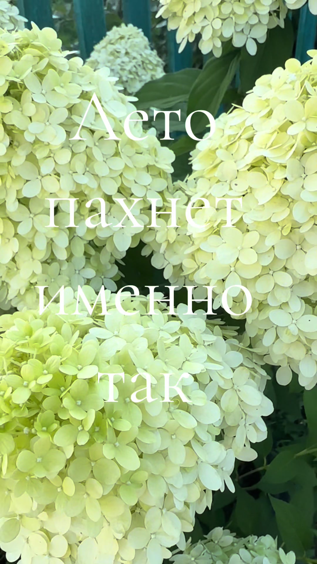 @Олеся Шарипова Ловская🇰🇿