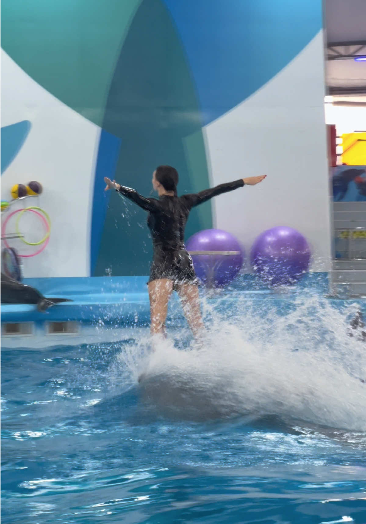 @Pattaya Dolphinarium