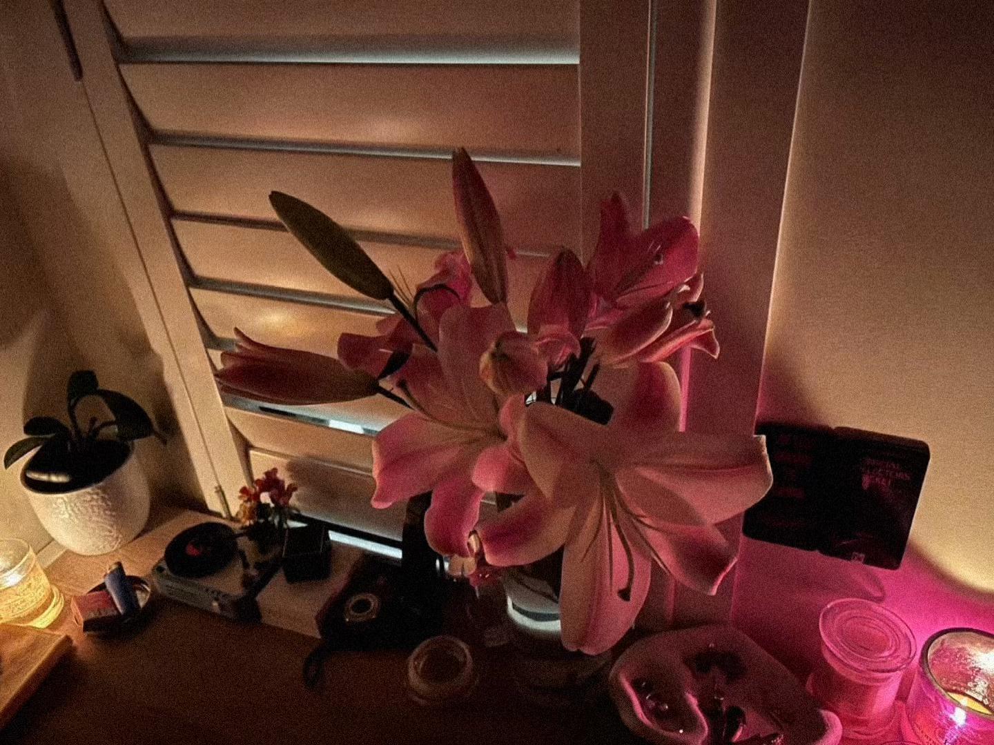 @𝒔𝒐𝒏𝒈𝒔