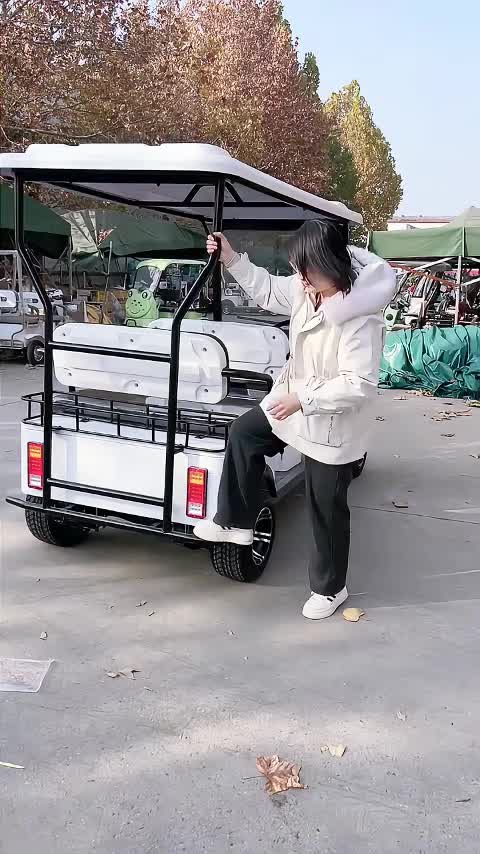 @mini bus_ev