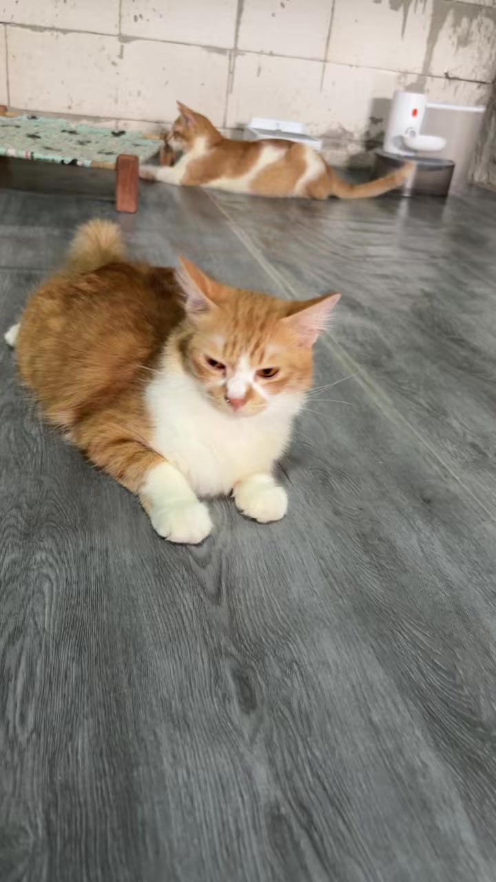 @BUMI ANABUL😺