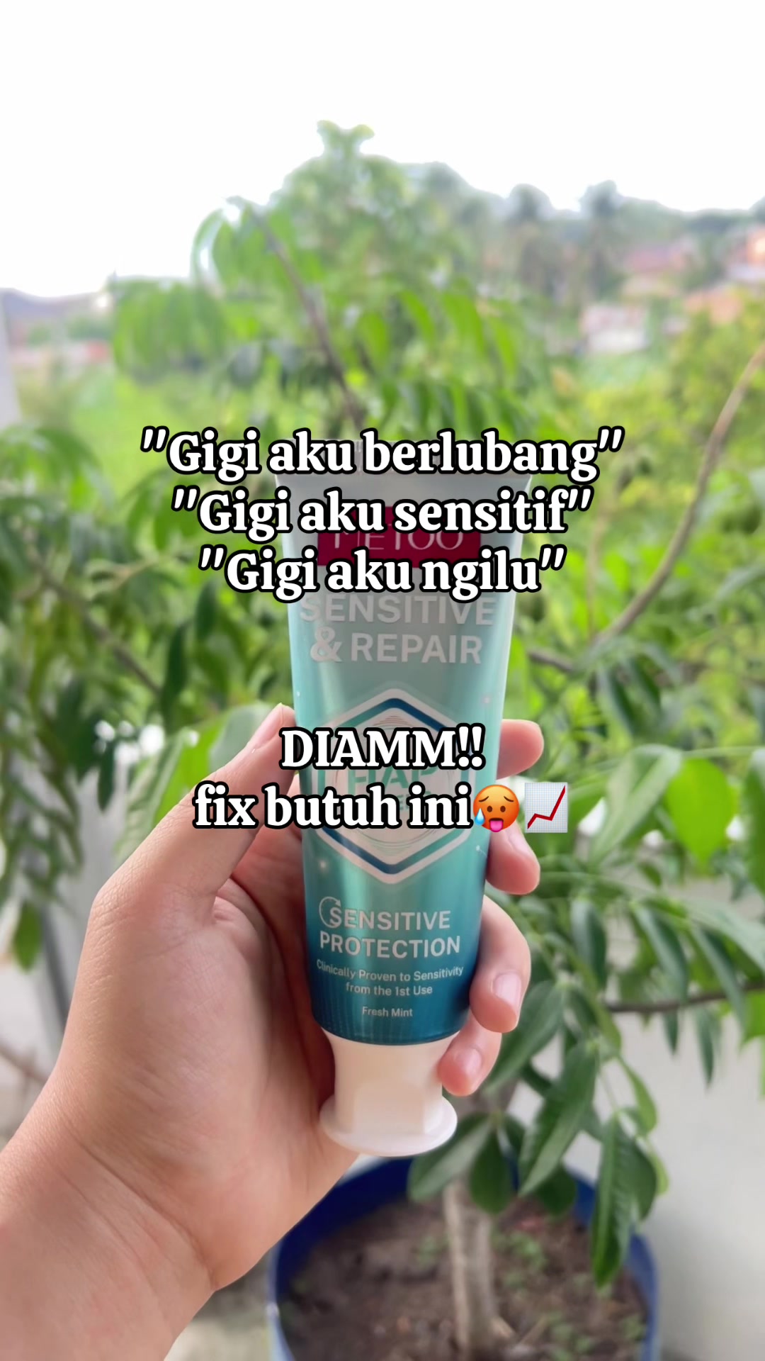 @cha.store12