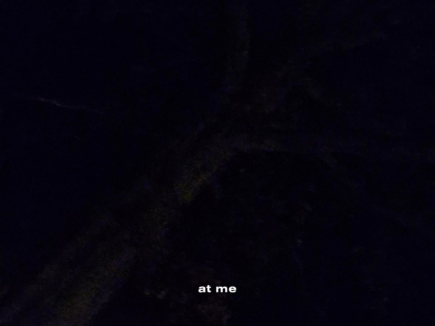 @⋆｡˚꒰ঌ 𝗕𝘂𝗻𝗻𝗶 ໒꒱˚｡⋆