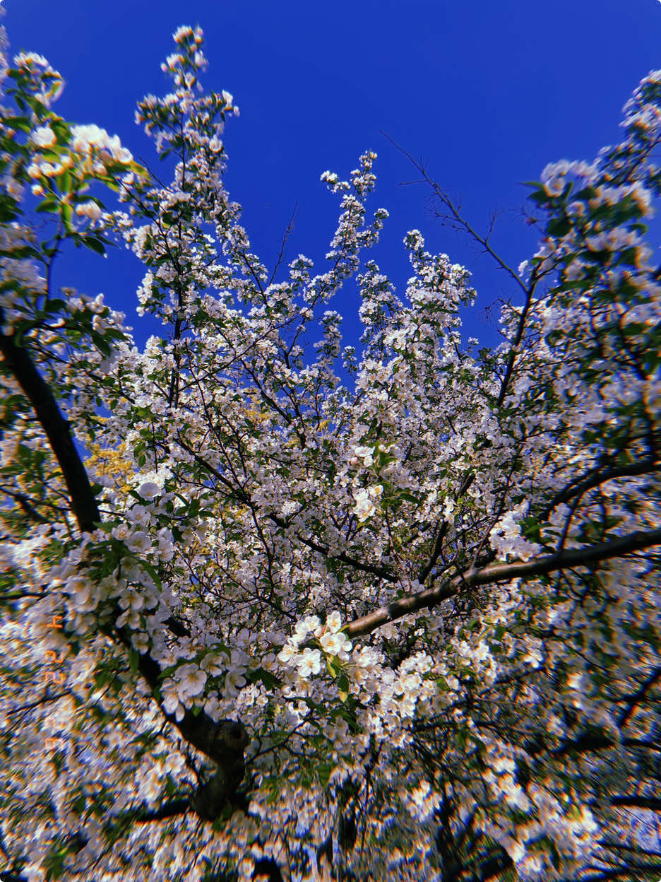 @Jen🌞