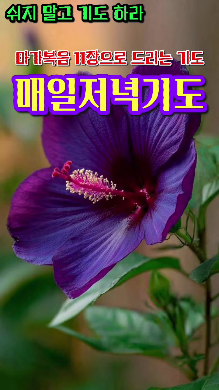 @피켓전도 김종일 목사