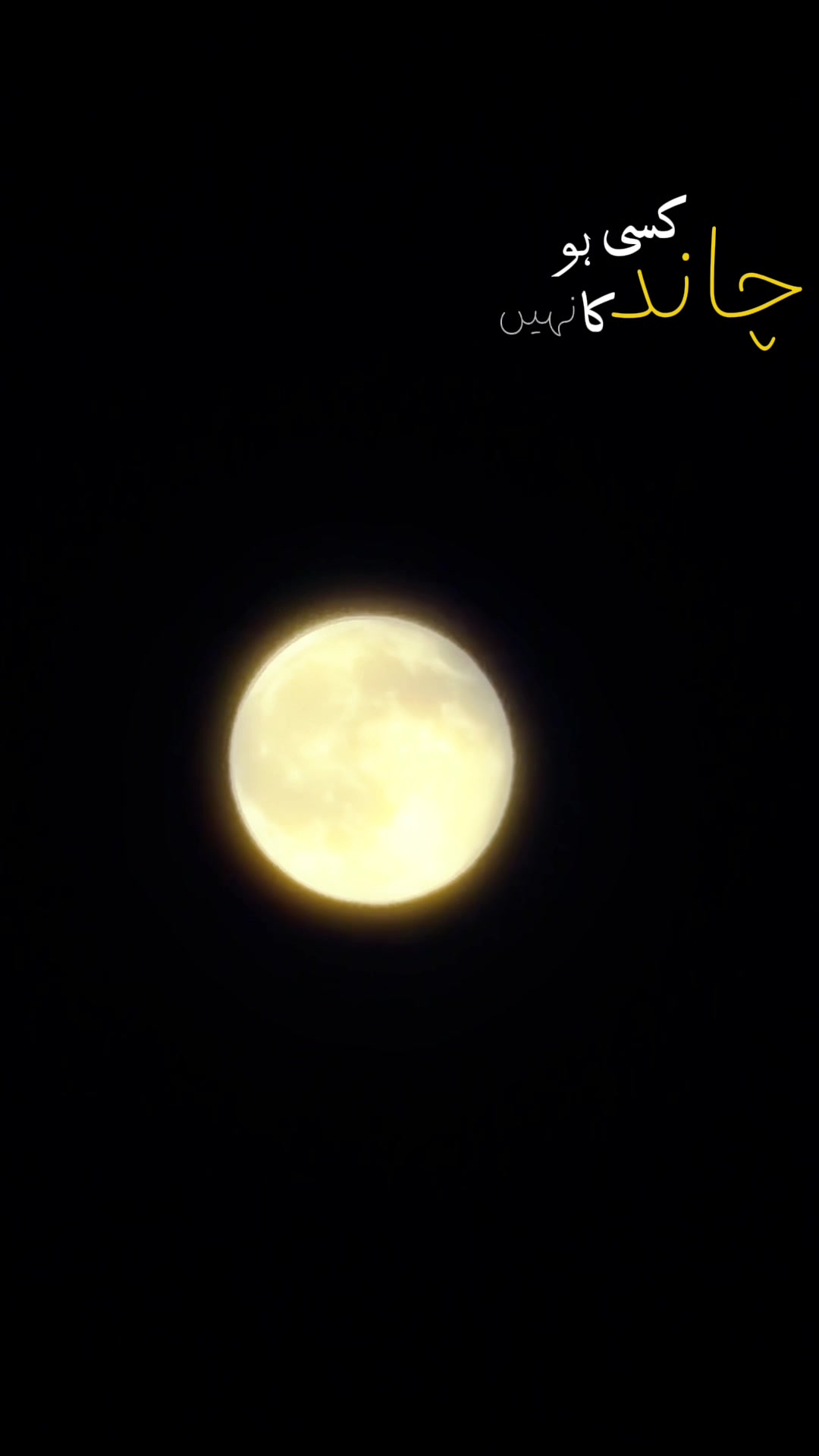 @Not Available 😶🌫️