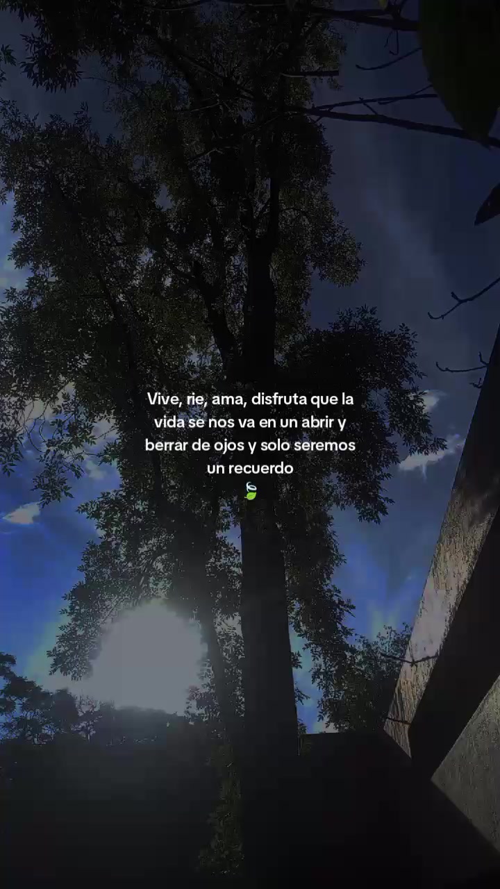 @paubonii
