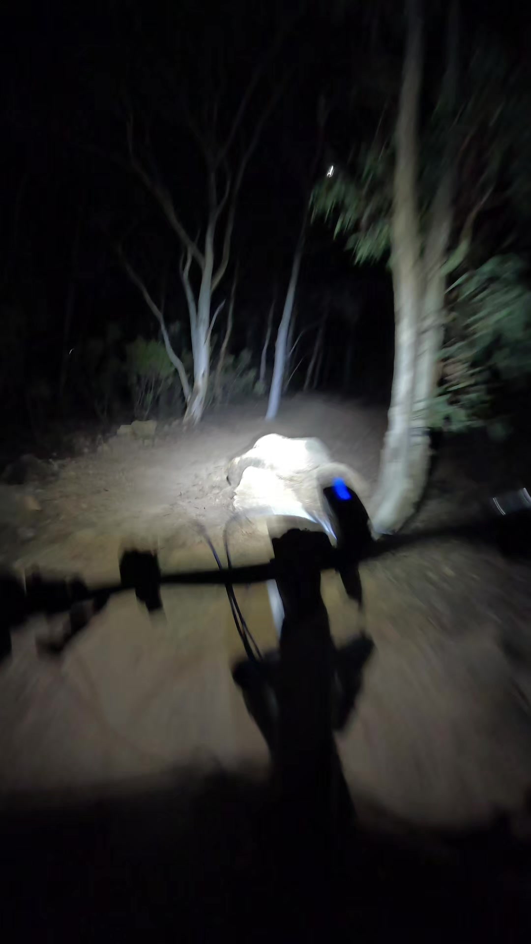 @Bangers.dhmtb