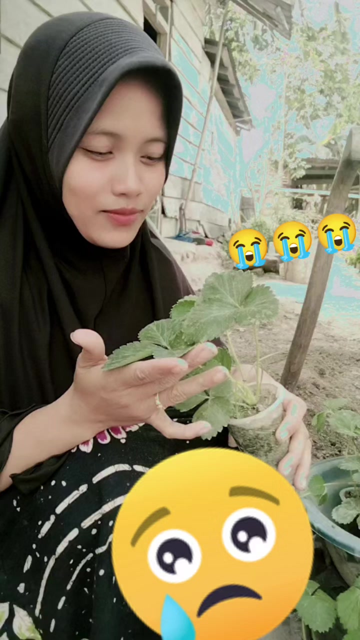 @Ika Sulandari