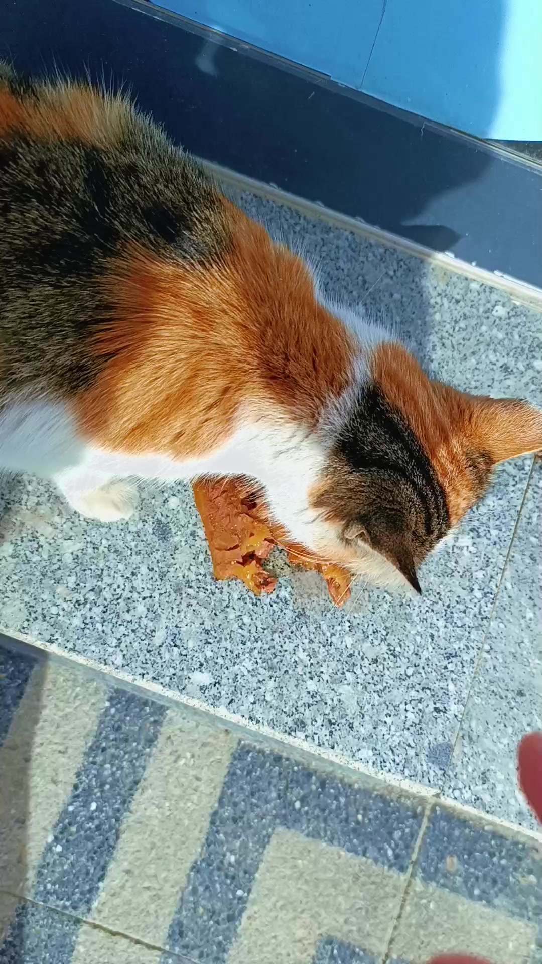 @&uuml;z&uuml;msu40