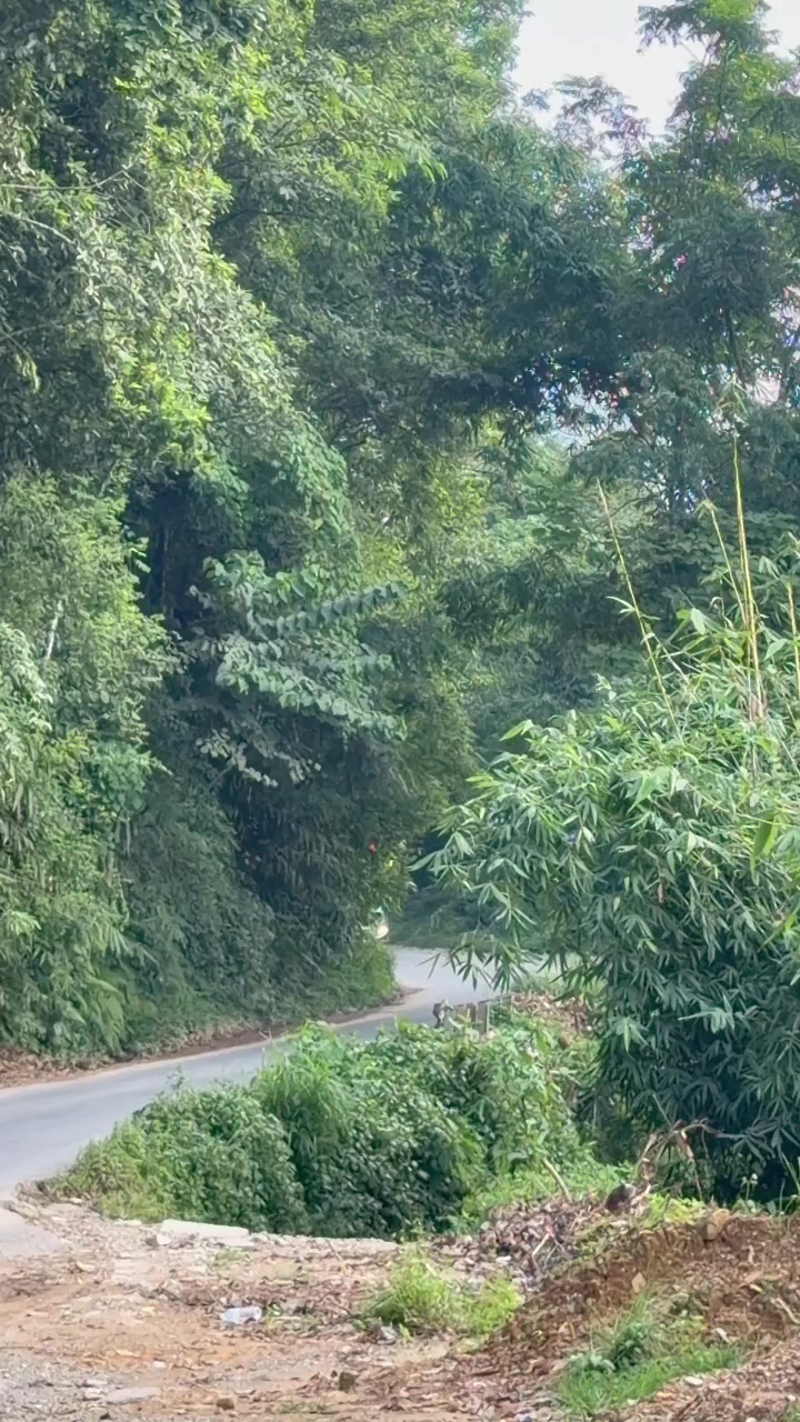 @SS Vlog.1