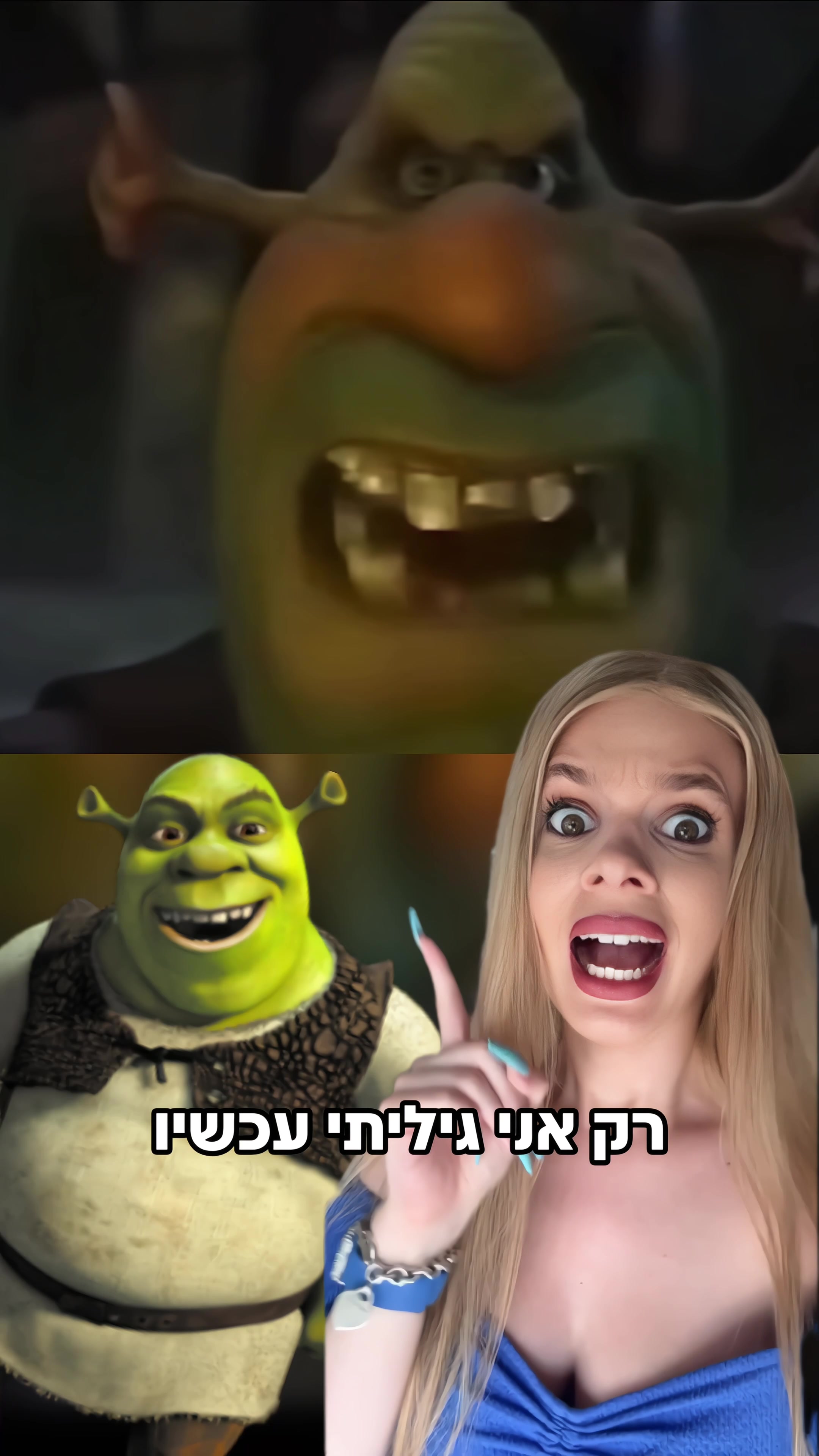 @יעל פיליפוביץ