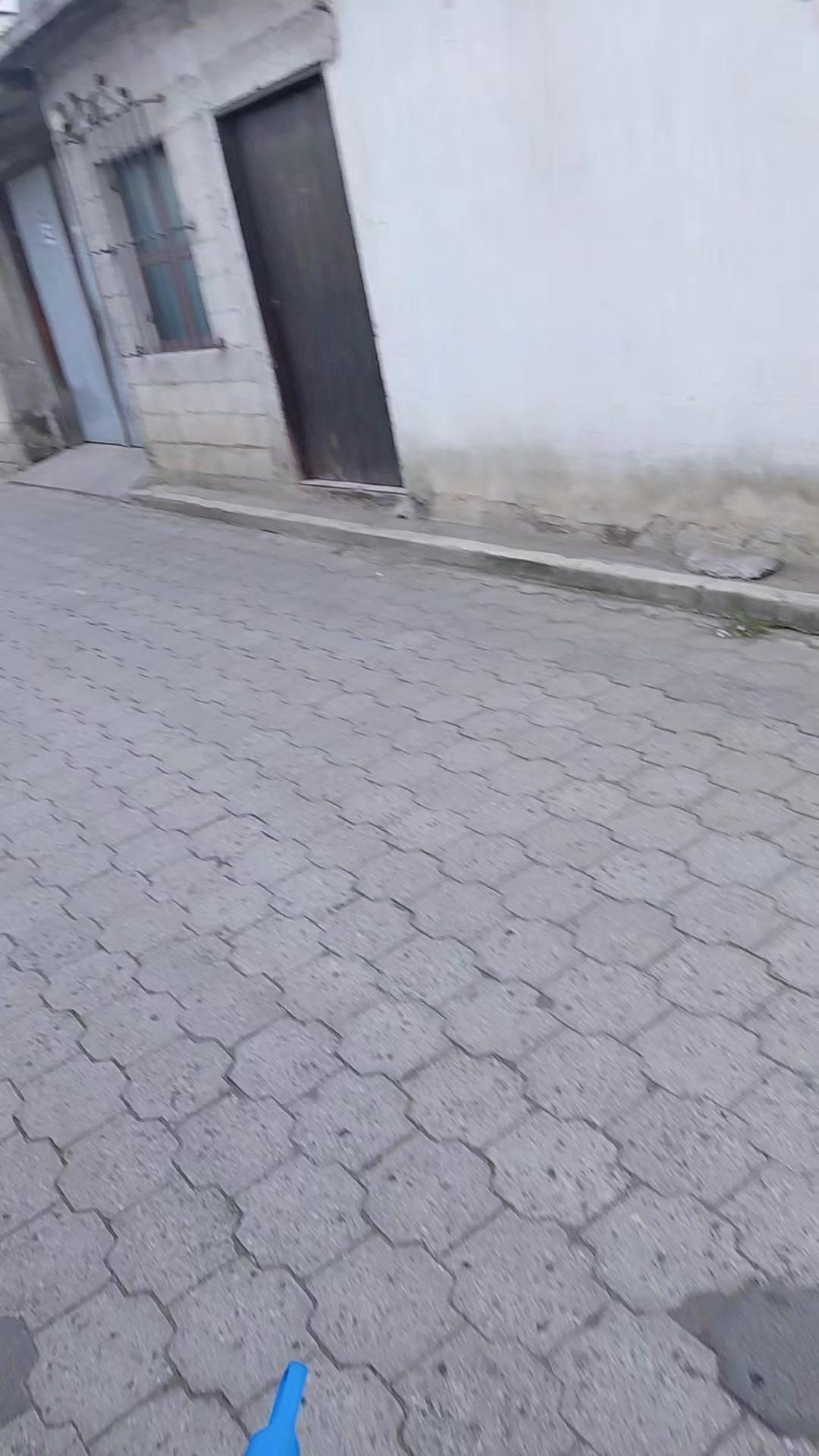@Gaby Rodríguez