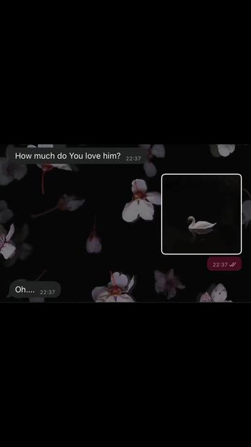 @:/