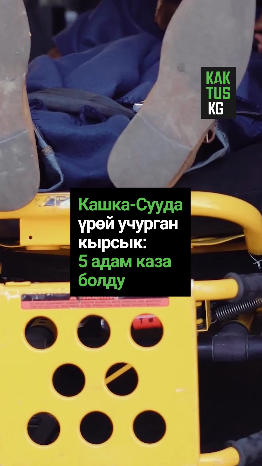 @Kaktus KG