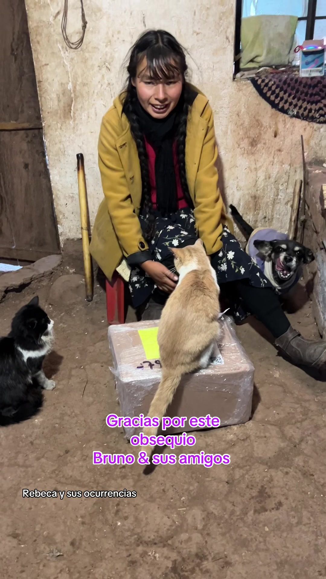 @🐈Rebeca y sus ocurrencias