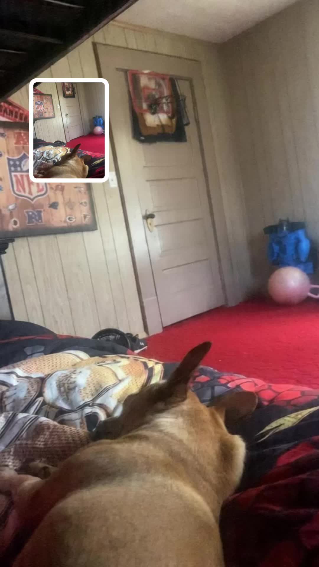 @HEHEHEHA