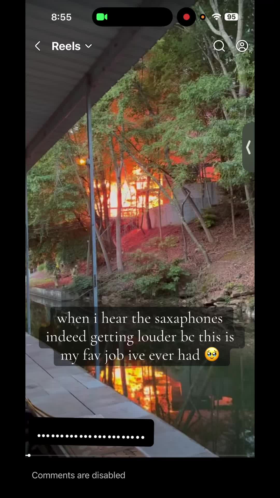 @🐆