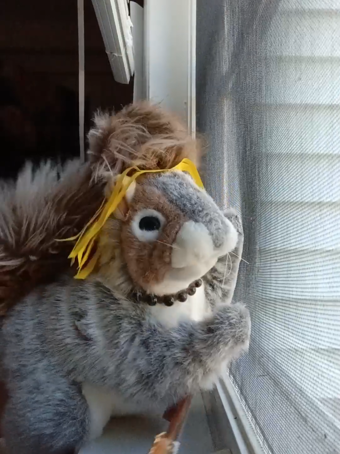 @Charles The Squirrel
