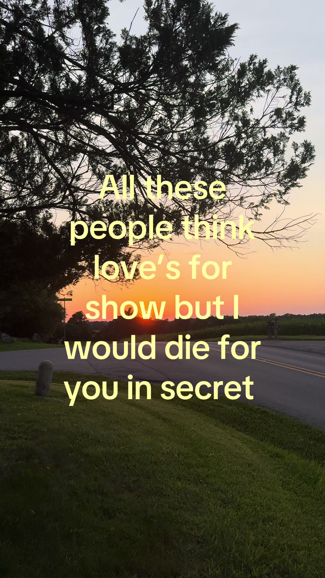 @solartunne